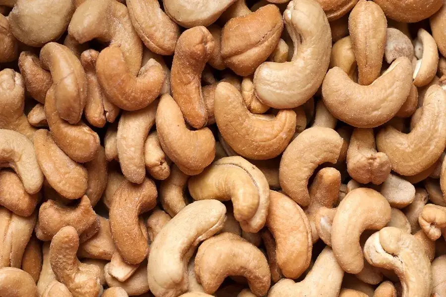 What Is the Harvesting Process of Cashews?