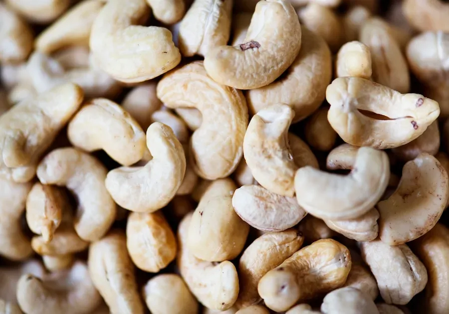 How do the monounsaturated fats in cashews support cardiovascular health?