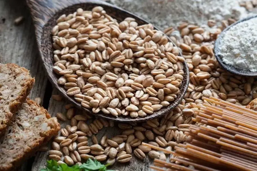 What Role Do Whole Grains Play in a Healthy Diet?